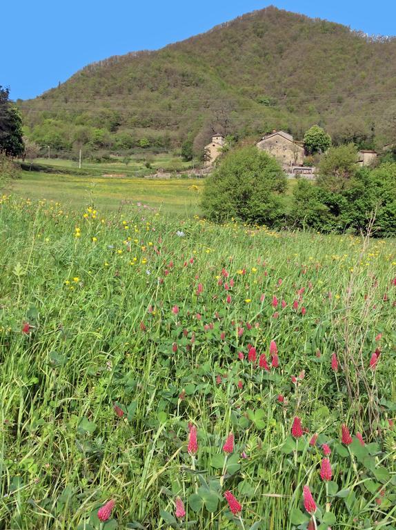 Pieve Di Ca Maggiore Firenzuola Eksteriør billede